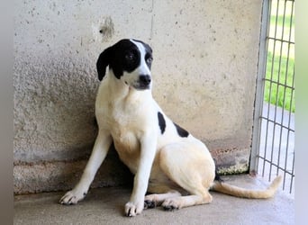 Raakel - Ein Anfang, der nie kam