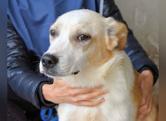 Simbad - Ein verlässlicher Partner...