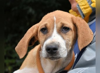 Waylo - Als Mama noch bei uns war