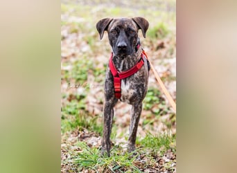 Branson - taut langsam auf und sucht Menschen mit Zeit