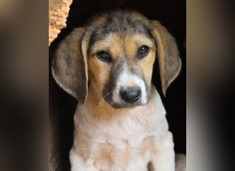 Wasker - Als Mama noch bei uns war