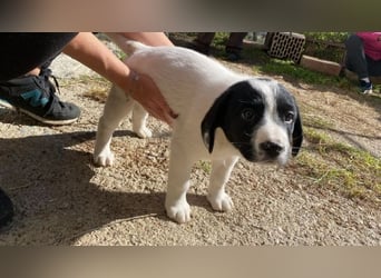 Irina - Neunmal werden wir noch wach...