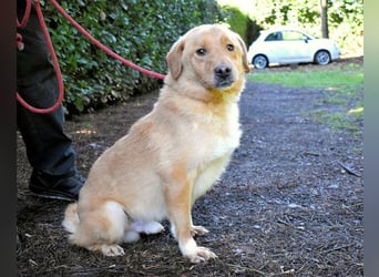 Burke - Der sanfte Bruder mit dem warmen Blick