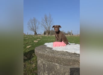 Liva - Also ehrlich, wir sind doch nur Babys!