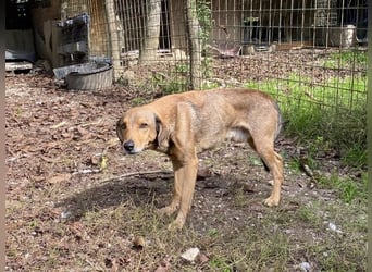 Kiro - Einmal alles auf (Neu)Anfang bitte!