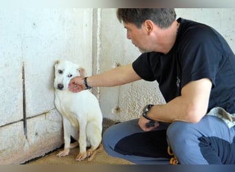 Radford - Ein Anfang, der nie kam