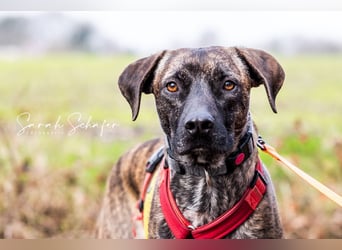 Branson - taut langsam auf und sucht Menschen mit Zeit