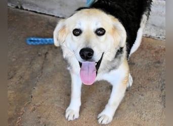 Fioralba - Fantastisches Powerpaket mit Freundlichkeitsbonus