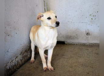 Elaro - gesucht: ein Post-it mit "Sicherheit"