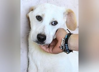 Radford - Ein Anfang, der nie kam