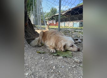 Ruby - wenn aus vorsichtigem Mut echtes Vertrauen wächst