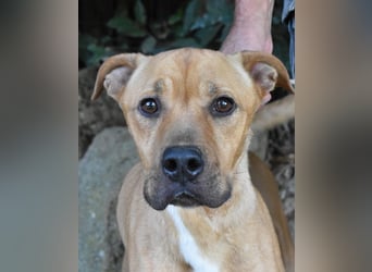 Moises - Wie kannst Du sein?