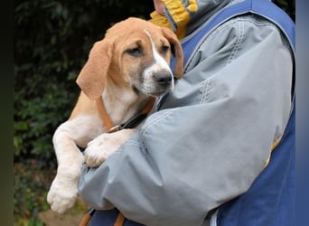 Waylo - Als Mama noch bei uns war