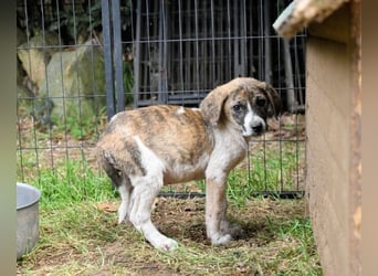 Woola - Als Mama noch bei uns war