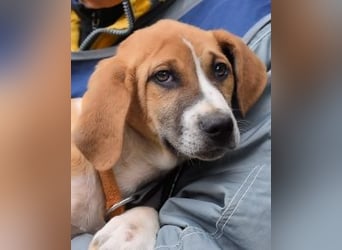 Waylo - Als Mama noch bei uns war