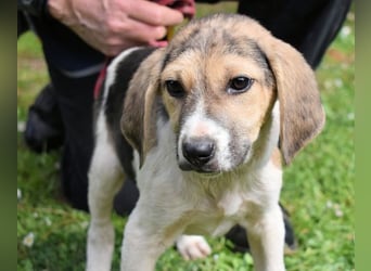 Wasker - Als Mama noch bei uns war