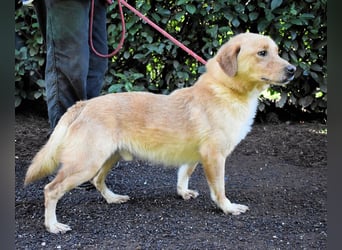 Burke - Der sanfte Bruder mit dem warmen Blick