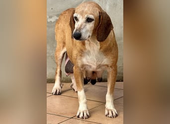 Silke - Zehn Jahre Stärke, jetzt ist sie an der Reihe