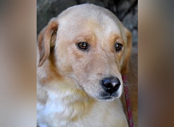 Burke - Der sanfte Bruder mit dem warmen Blick