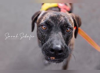 Branson - taut langsam auf und sucht Menschen mit Zeit