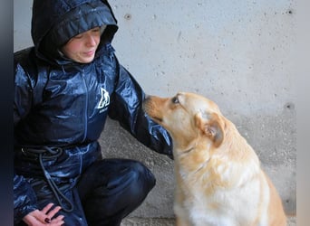 Sigrid - es ist wankelmütig, dieses Schicksal