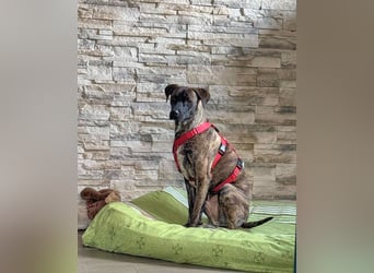 Branson - taut langsam auf und sucht Menschen mit Zeit