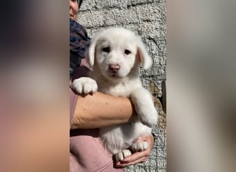 Ina - Neunmal werden wir noch wach...