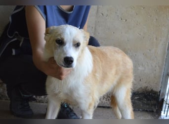 Simbad - Ein verlässlicher Partner...