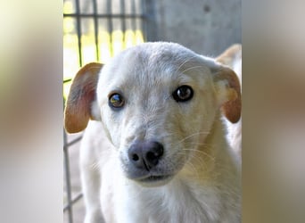 Elvio - seine Mut-Münzen sind fast aufgebraucht