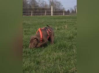 Liva - Also ehrlich, wir sind doch nur Babys!