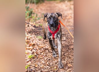 Branson - taut langsam auf und sucht Menschen mit Zeit