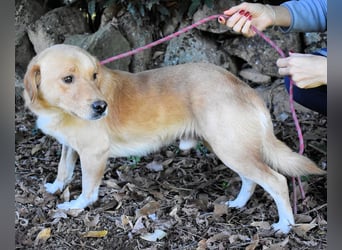 Burke - Der sanfte Bruder mit dem warmen Blick