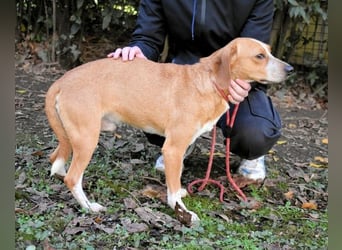 Cecilius - ein ruhiger Begleiter