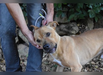 Moises - Wie kannst Du sein?