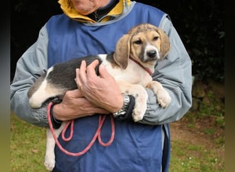 Wasker - Als Mama noch bei uns war