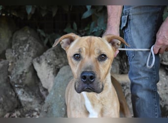 Moises - Wie kannst Du sein?