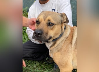 Faudor - Bist du die letzte Station meiner Odyssee?