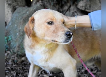 Burke - Der sanfte Bruder mit dem warmen Blick
