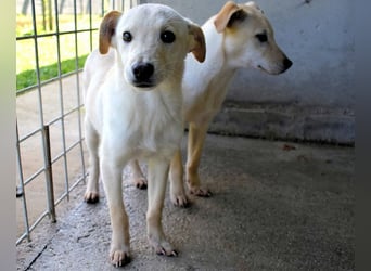 Elvio - seine Mut-Münzen sind fast aufgebraucht