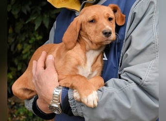 Wixelle - Als Mama noch bei uns war