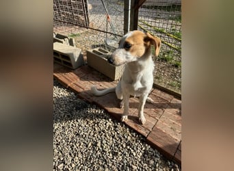 Zoe - Mit Schutzengeln gesegnet