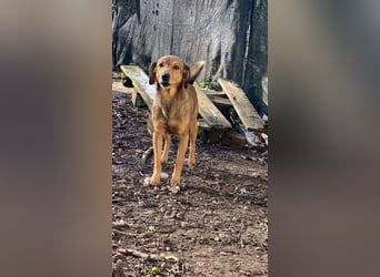 Kiro - Einmal alles auf (Neu)Anfang bitte!