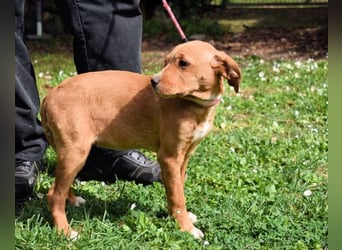 Wixelle - Als Mama noch bei uns war