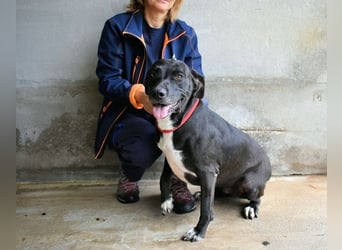 Perlyn - Charmante Ex-Sommerfigur mit Modelpotenzial