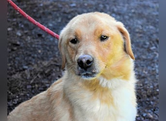 Burke - Der sanfte Bruder mit dem warmen Blick