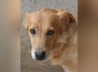 Ferelith - Was wäre, wenn....