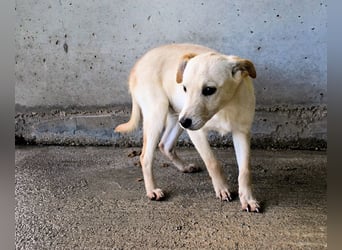 Elvio - seine Mut-Münzen sind fast aufgebraucht