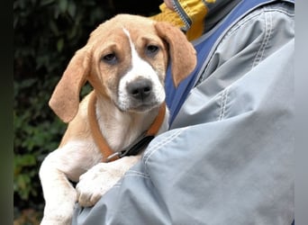 Waylo - Als Mama noch bei uns war