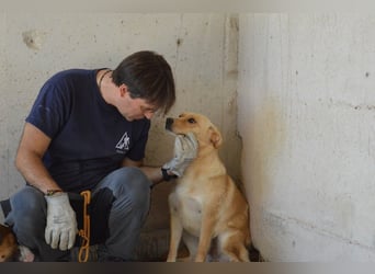 Sigrid - es ist wankelmütig, dieses Schicksal