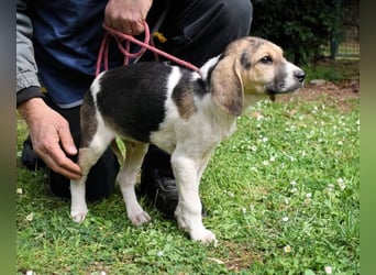 Wasker - Als Mama noch bei uns war